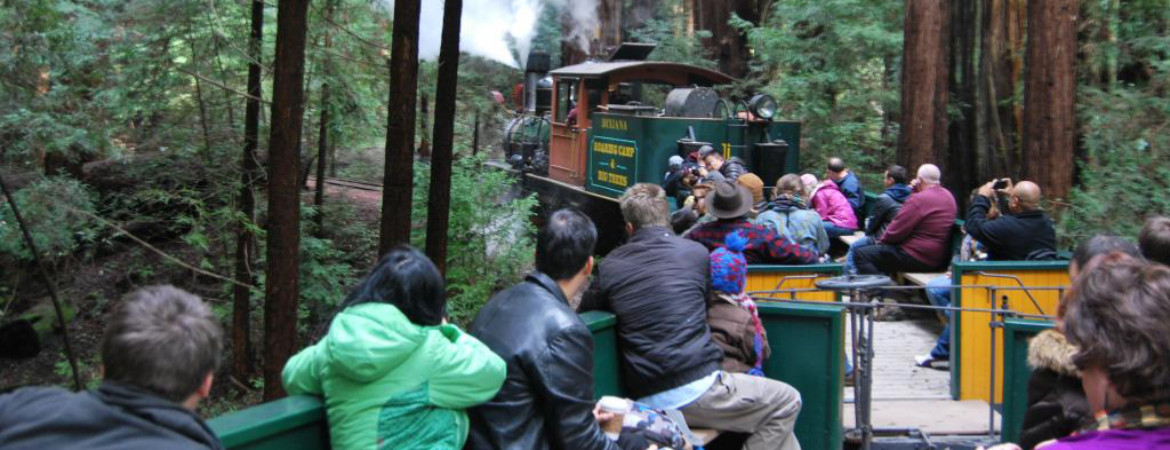 Roaring camp, northern california, redwoods